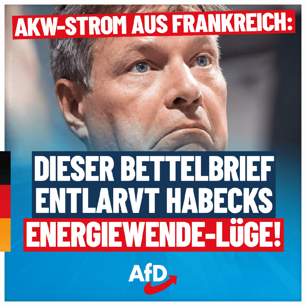 Bild: AfD Deutschland