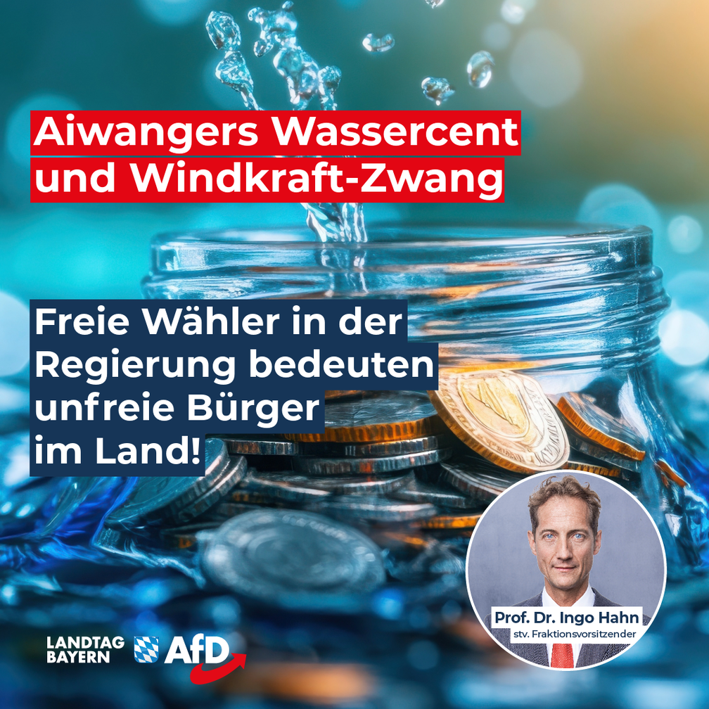 Bild: AfD Deutschland