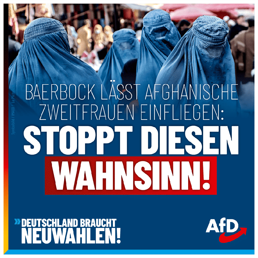 Bild: AfD Deutschland