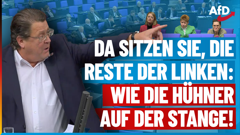 Bild: AfD Deutschland