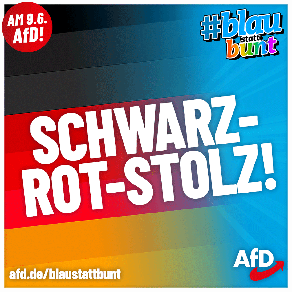 Bild: AfD Deutschland