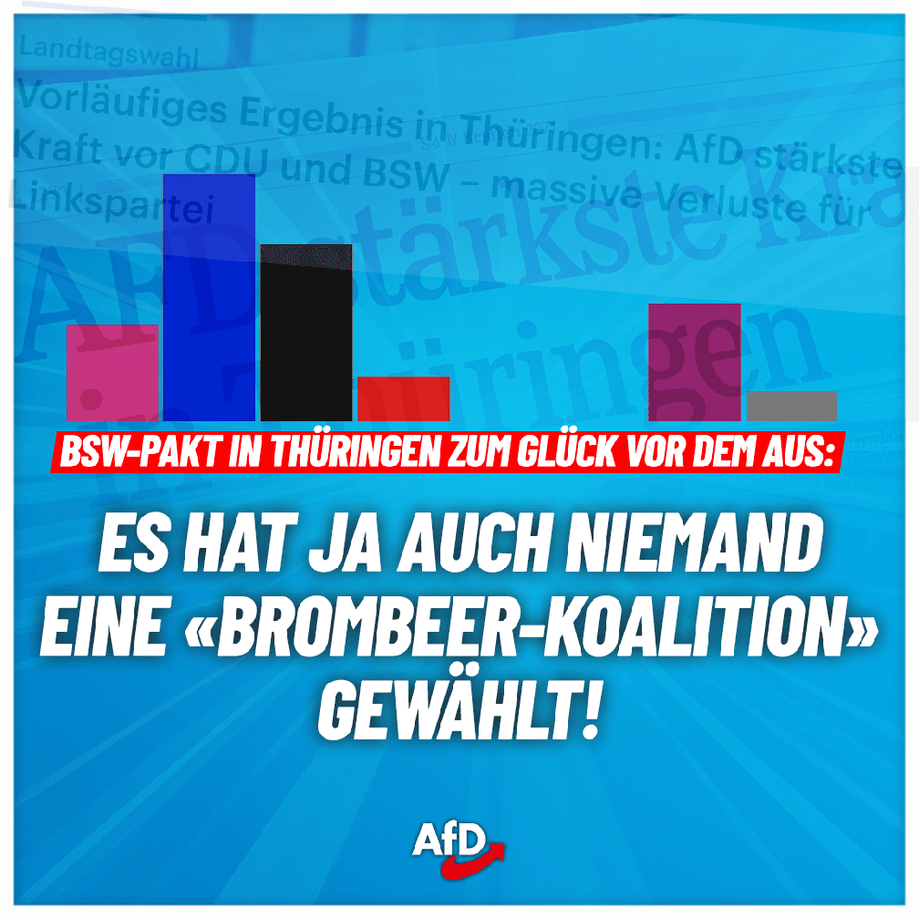 Bild: AfD Deutschland