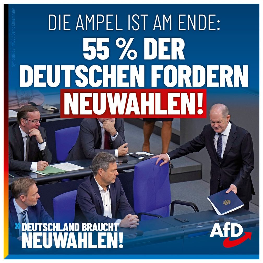 Bild: AfD Deutschland