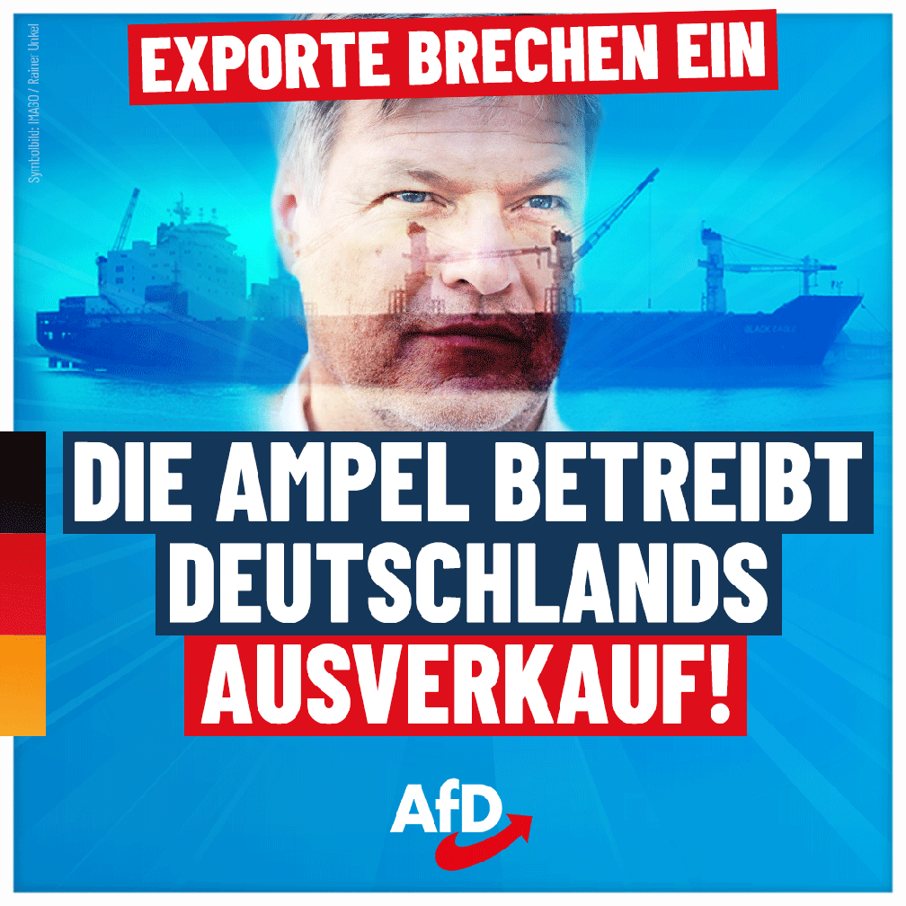 Bild: AfD Deutschland