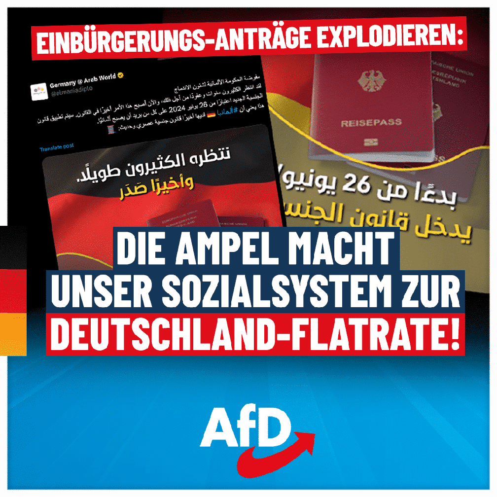 Bild: AfD Deutschland