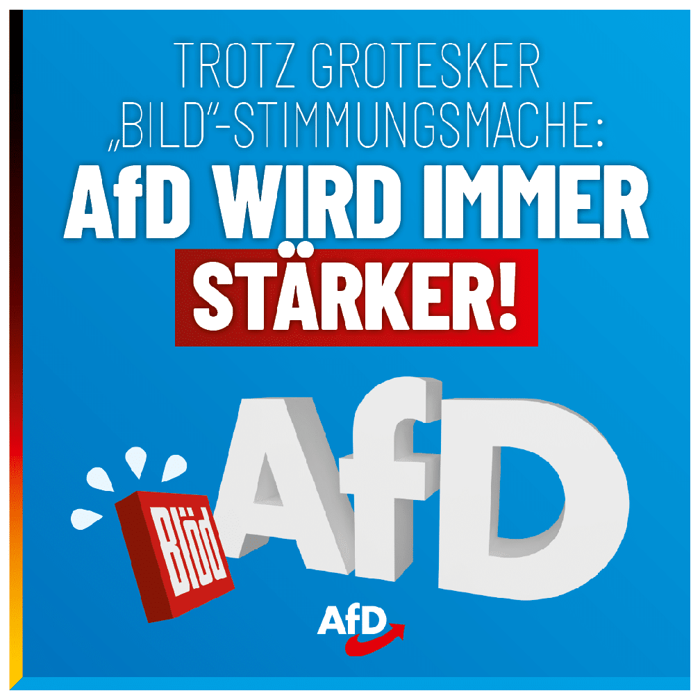 Bild: AfD Deutschland