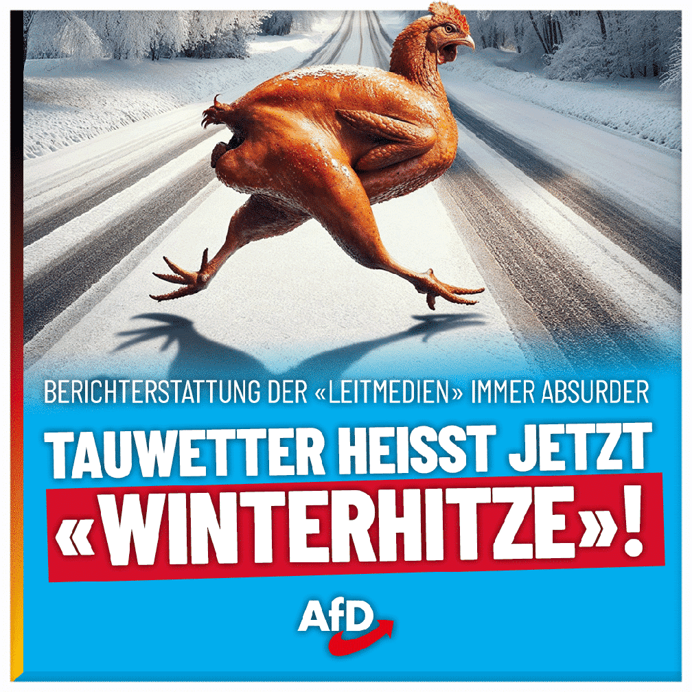 Bild: AfD Deutschland