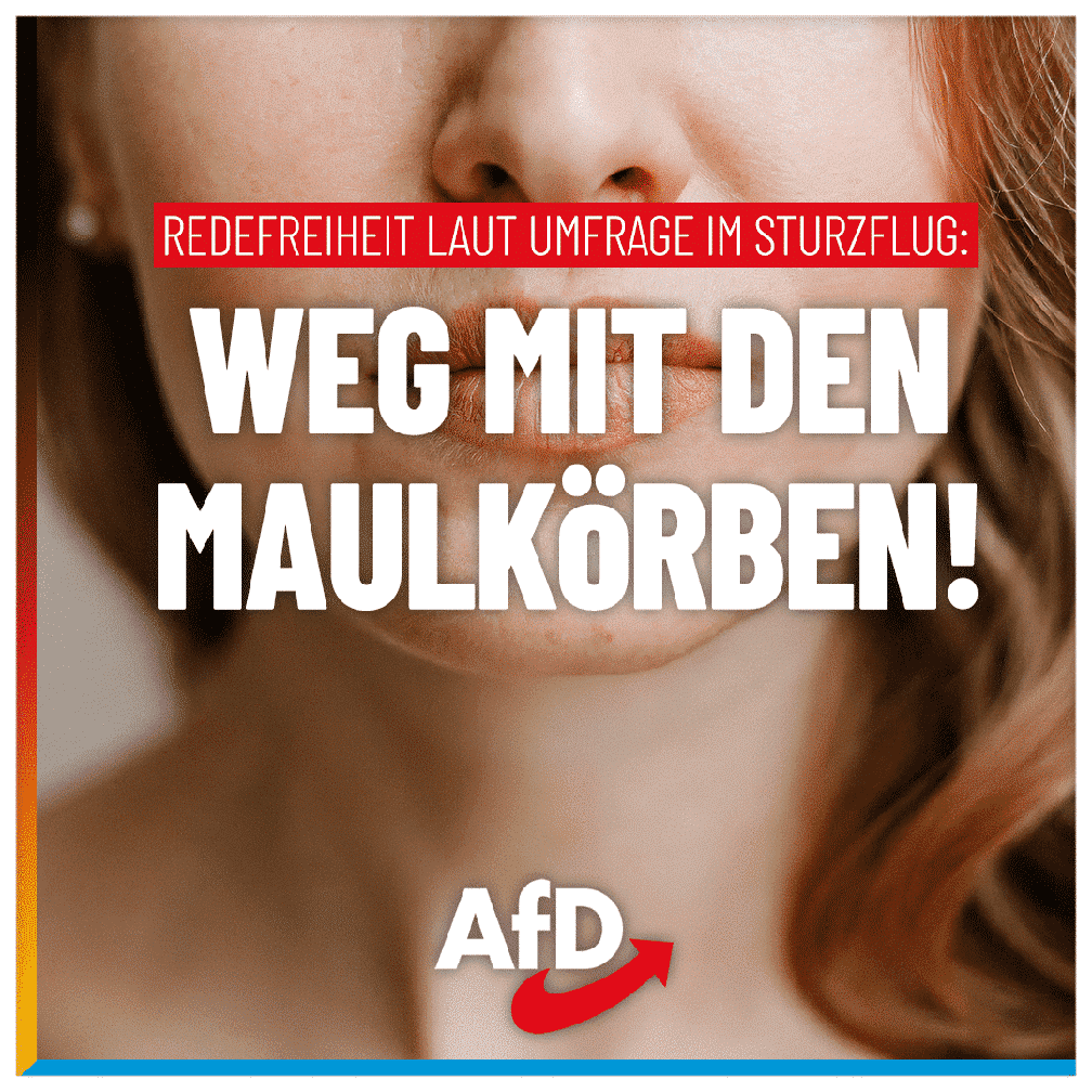 Bild: AfD Deutschland