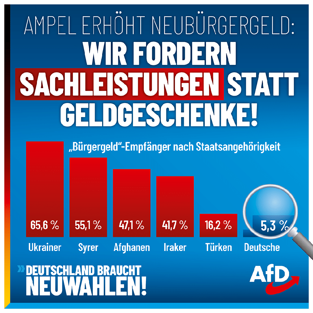 Bild: AfD Deutschland