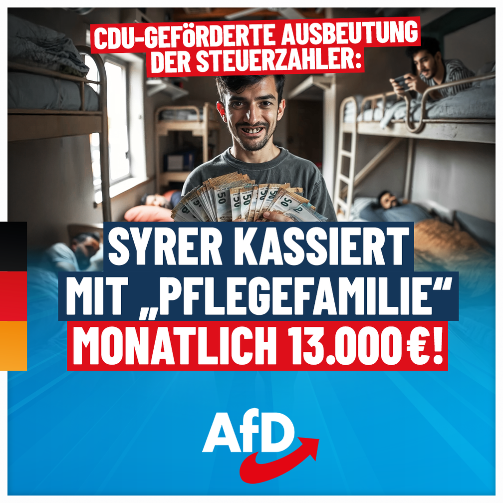 Bild: AfD Deutschland