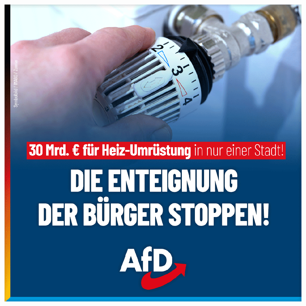 Bild: AfD Deutschland