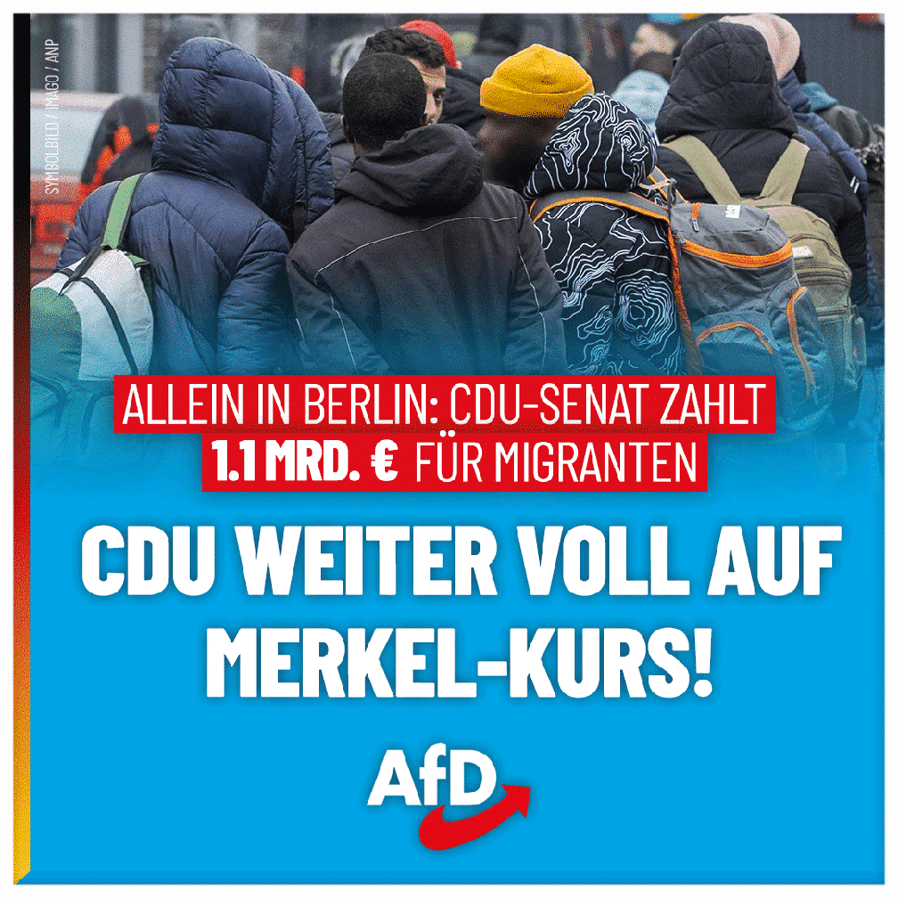 Bild: AfD Deutschland