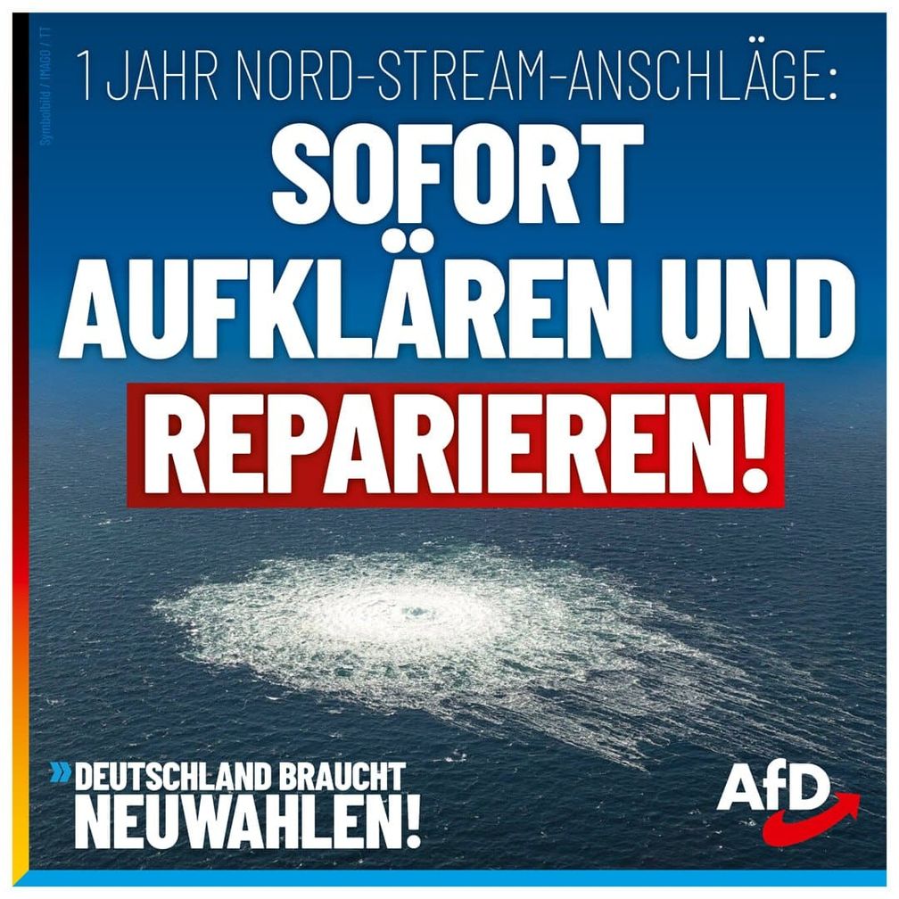 Bild: AfD Deutschland