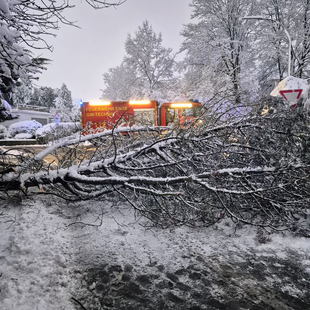 Bild: Feuerwehr Ense