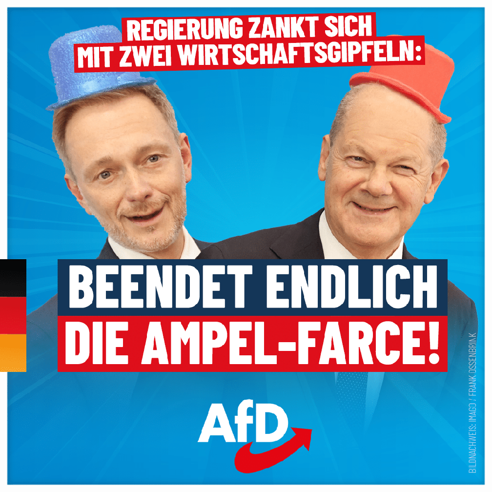 Bild: AfD Deutschland