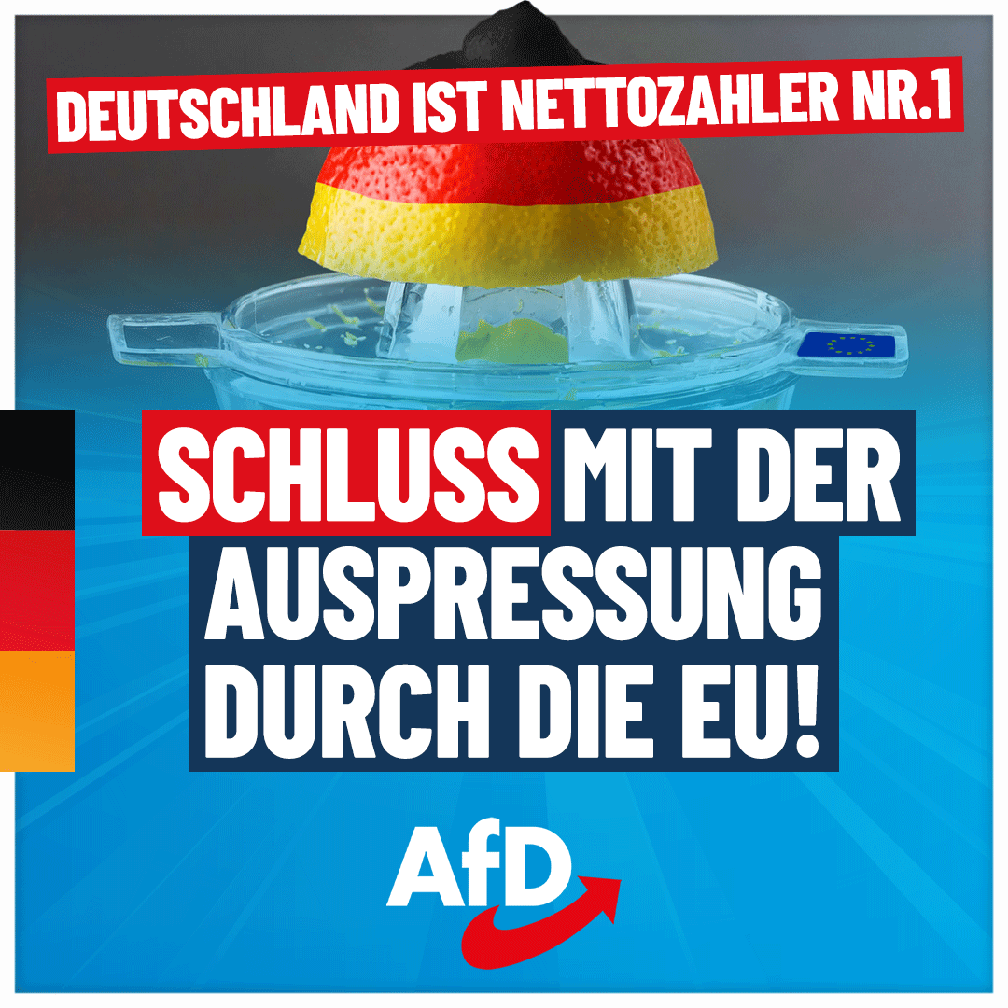 Bild: AfD Deutschland