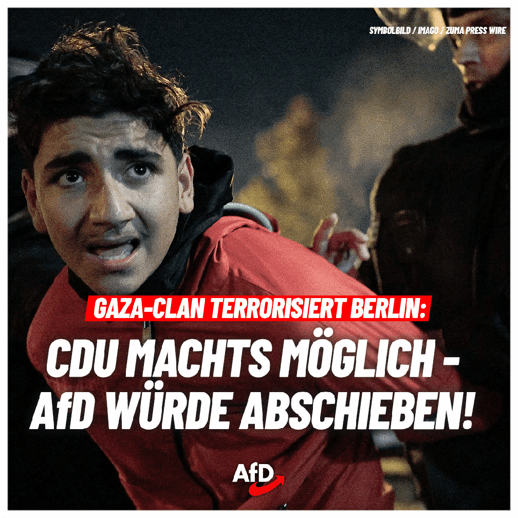 Bild: AfD Deutschland