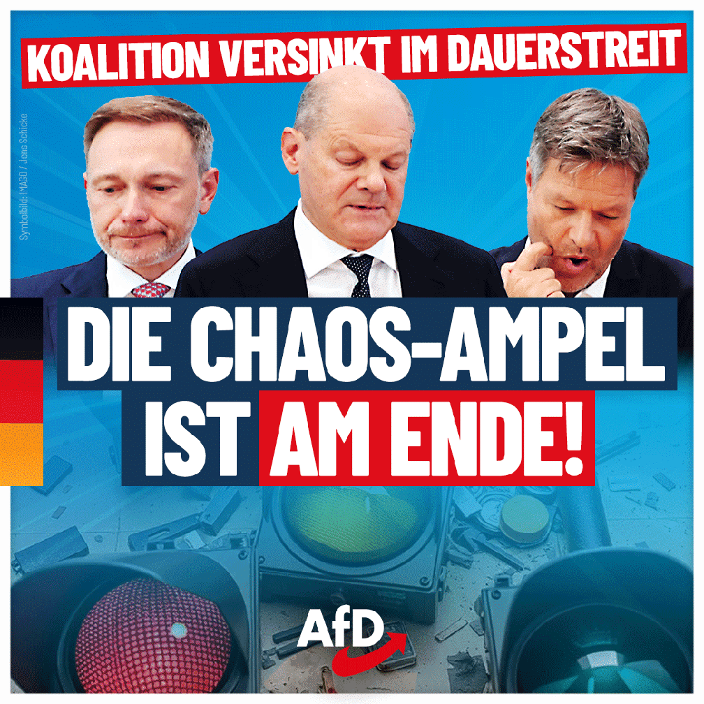 Bild: AfD Deutschland