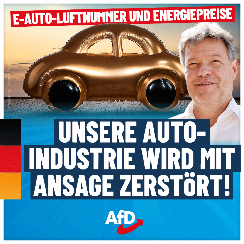 Bild: AfD Deutschland