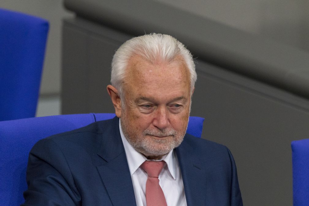 Wolfgang Kubicki (2020), Archivbild