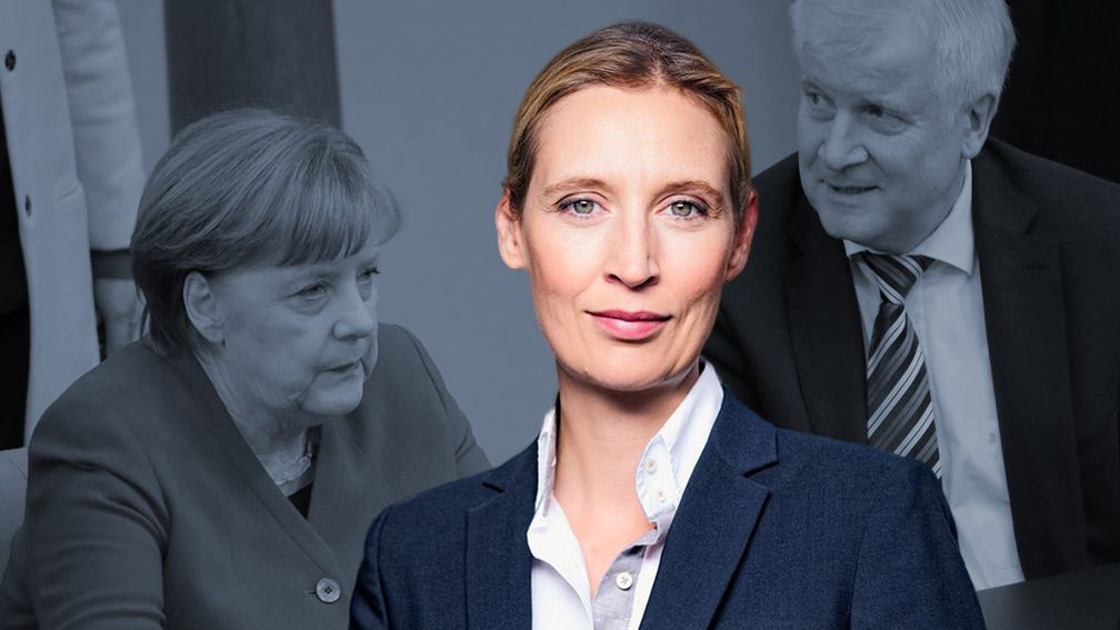 Dr. Alice Weidel (2018)