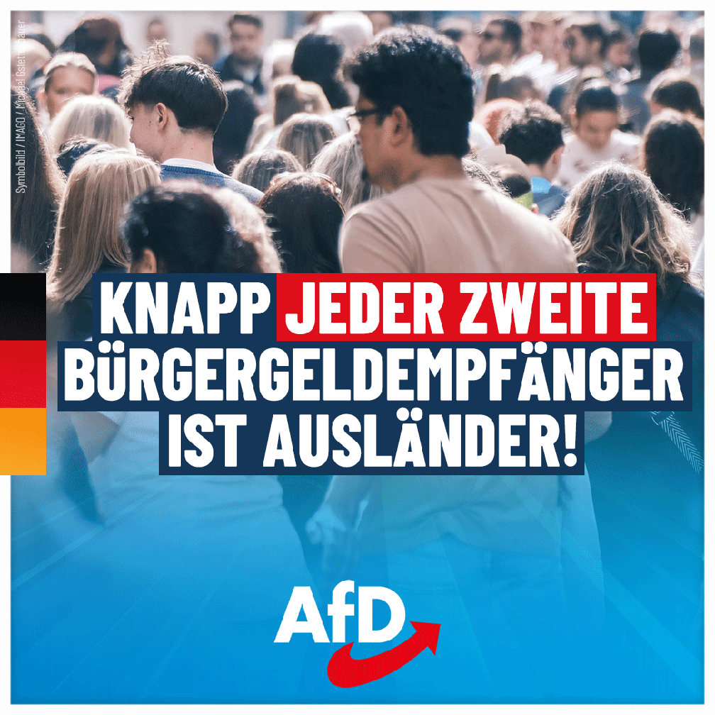 Bild: AfD Deutschland