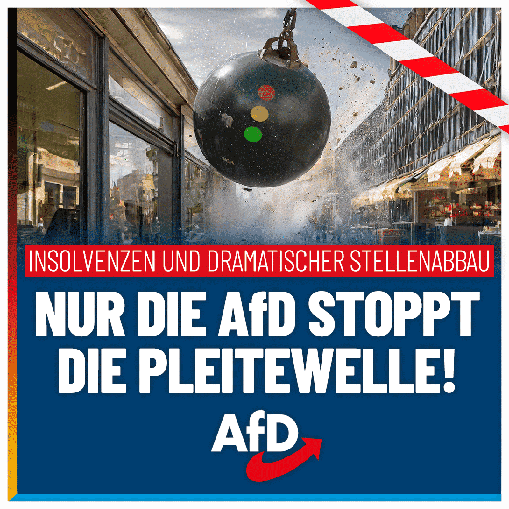 Bild: AfD Deutschland