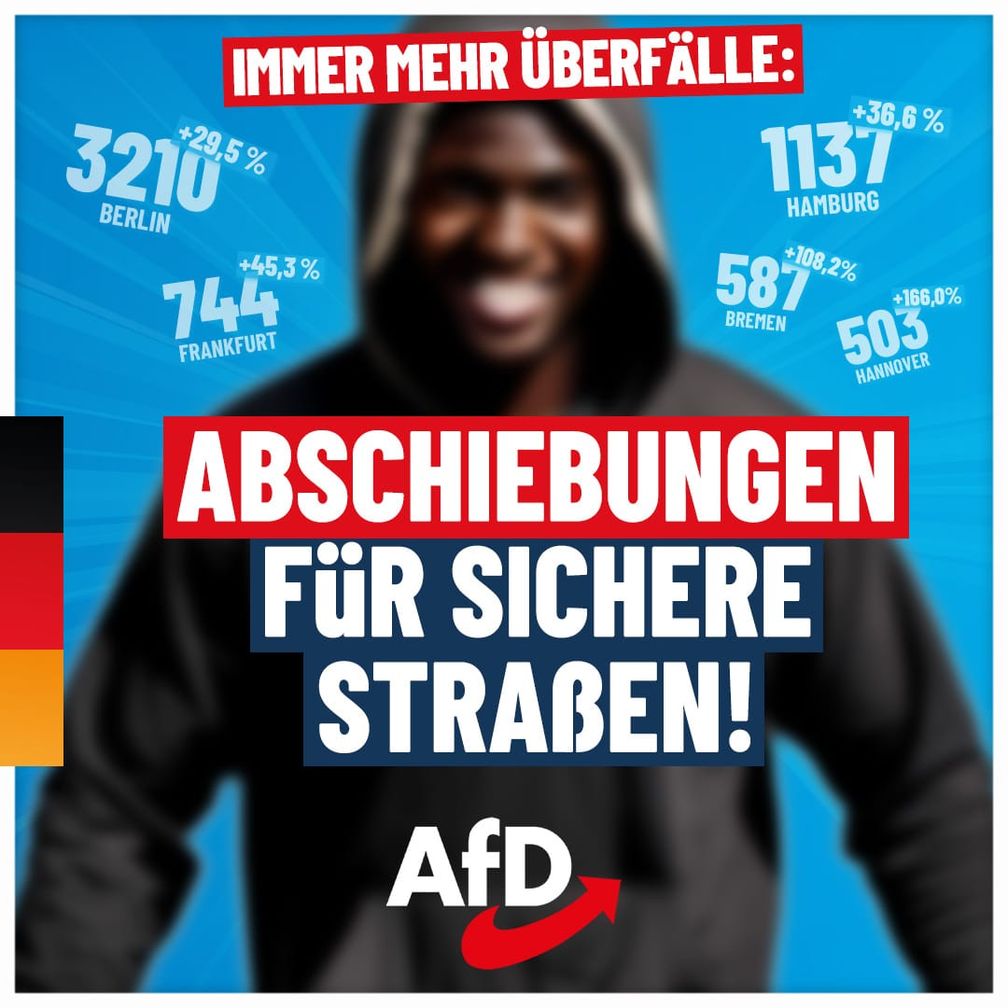 Bild: AfD Deutschland