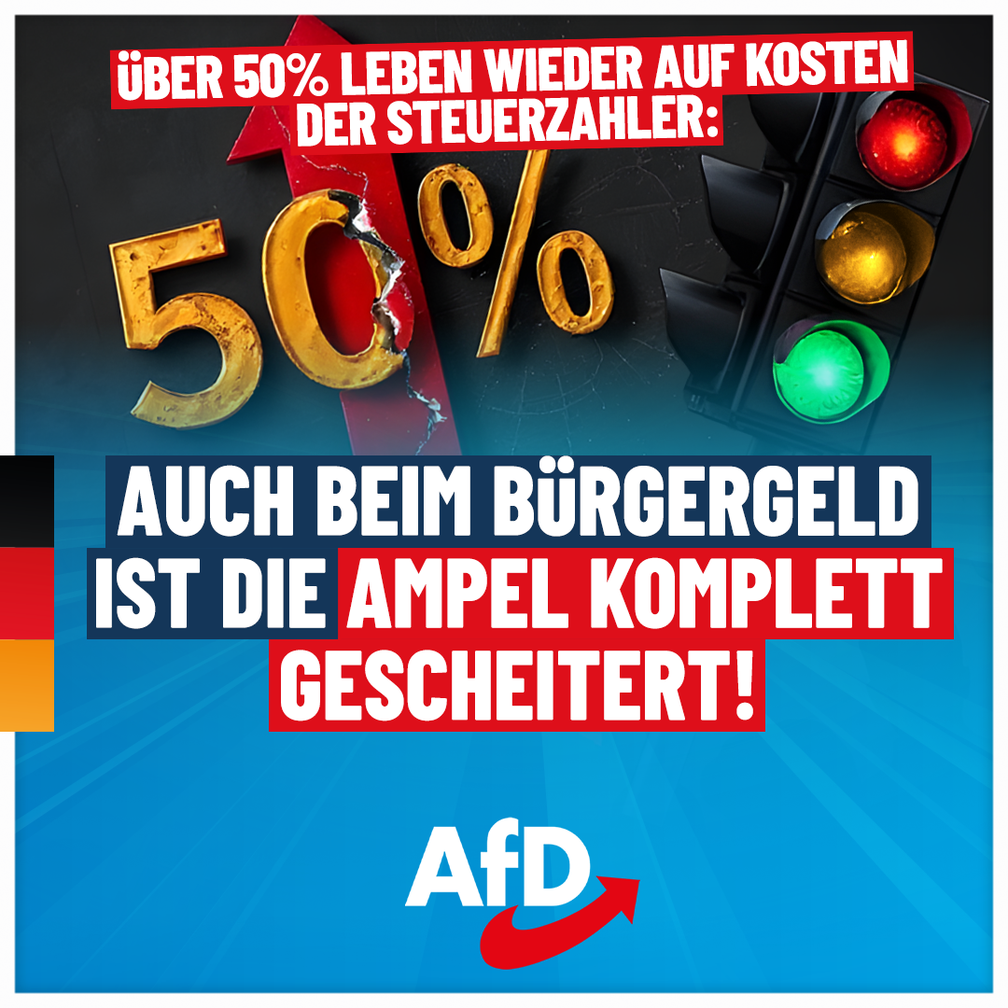 Bild: AfD Deutschland