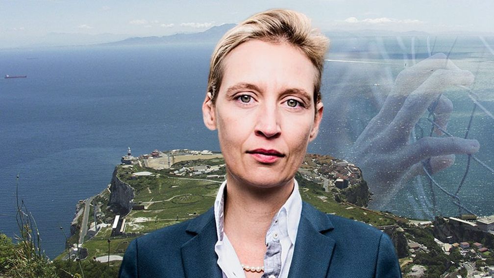 Dr. Alice Weidel (2018)