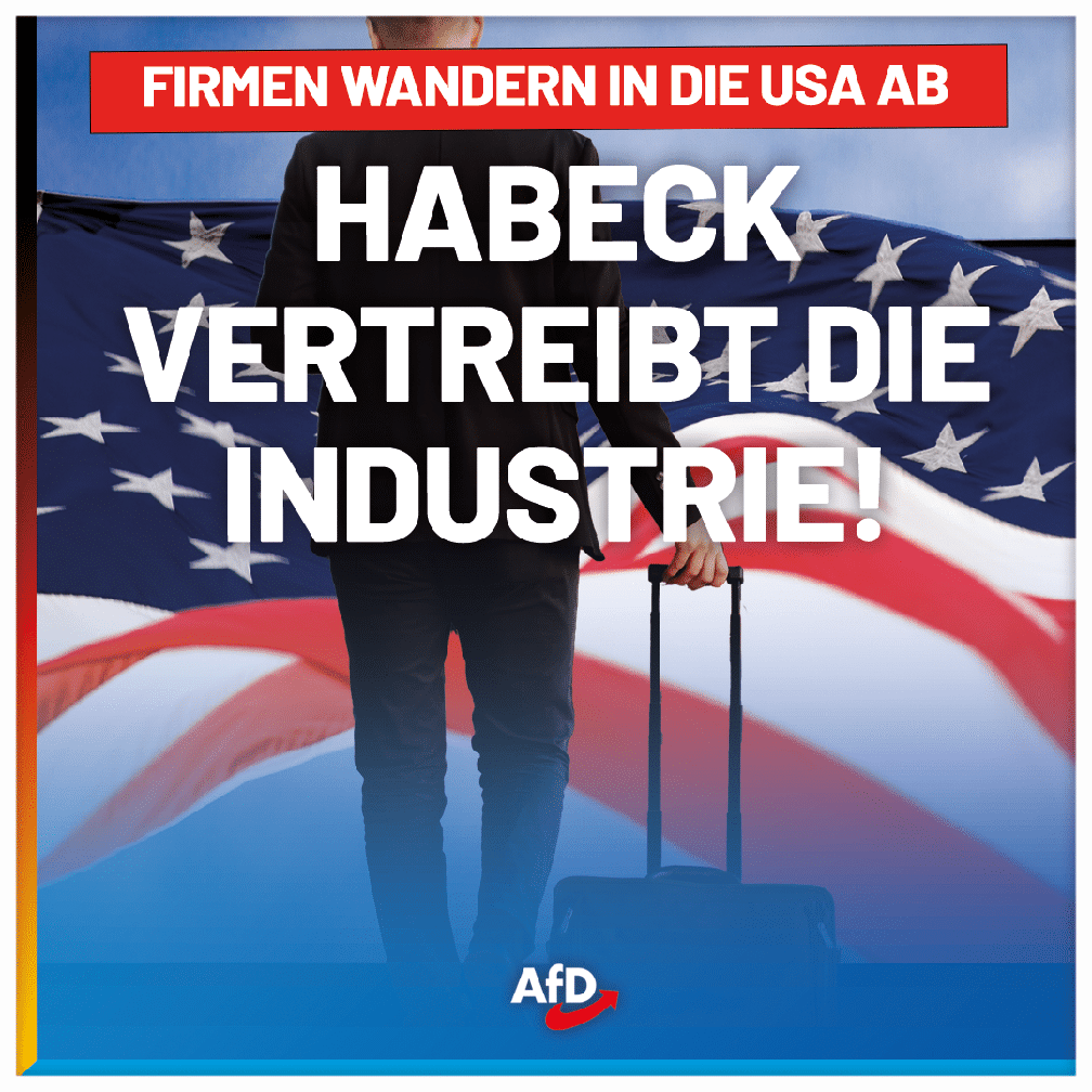 Bild: AfD Deutschland