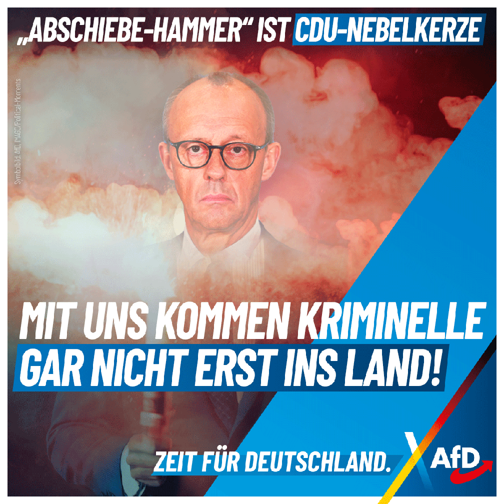 Bild: AfD Deutschland