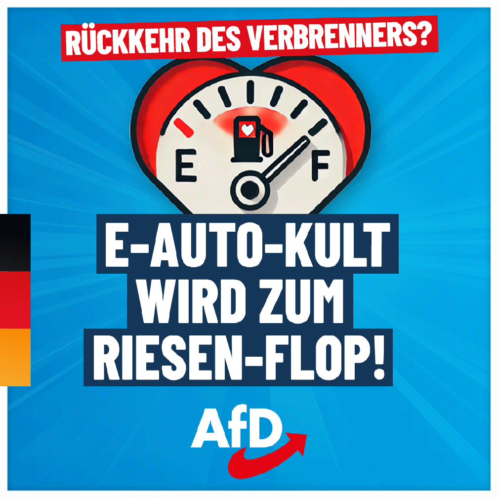 Bild: AfD Deutschland