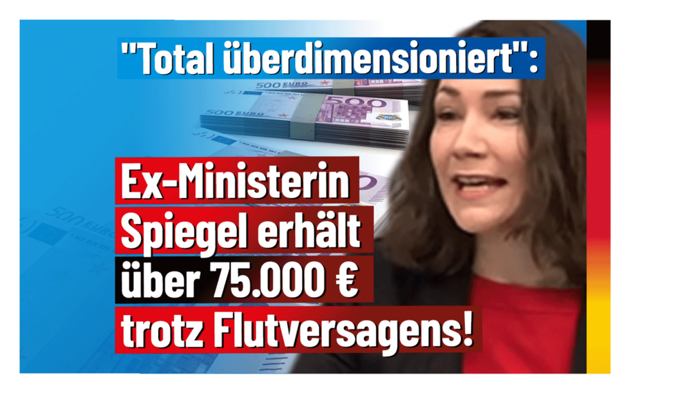 Bild: AfD Deutschland