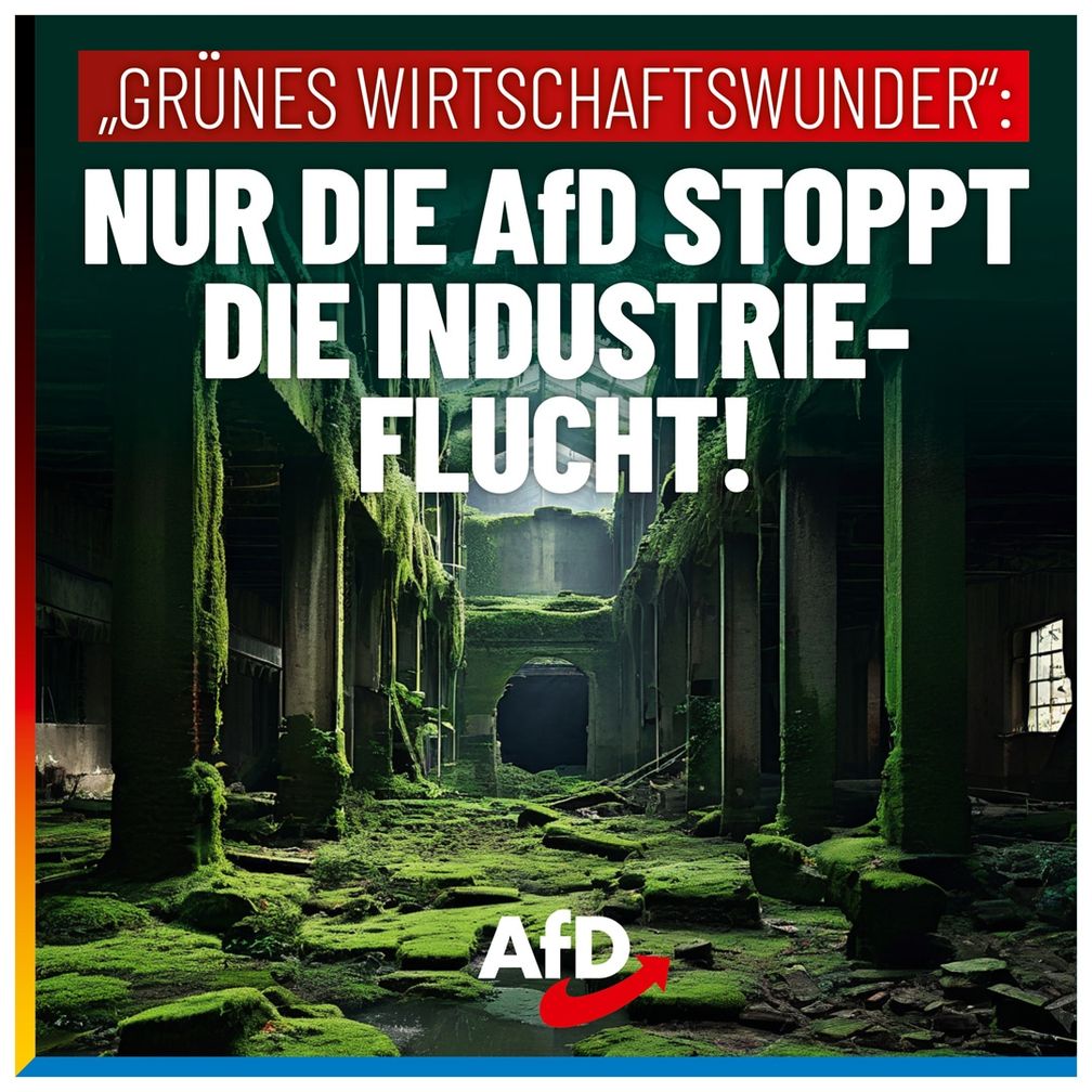 Bild: AfD Deutschland