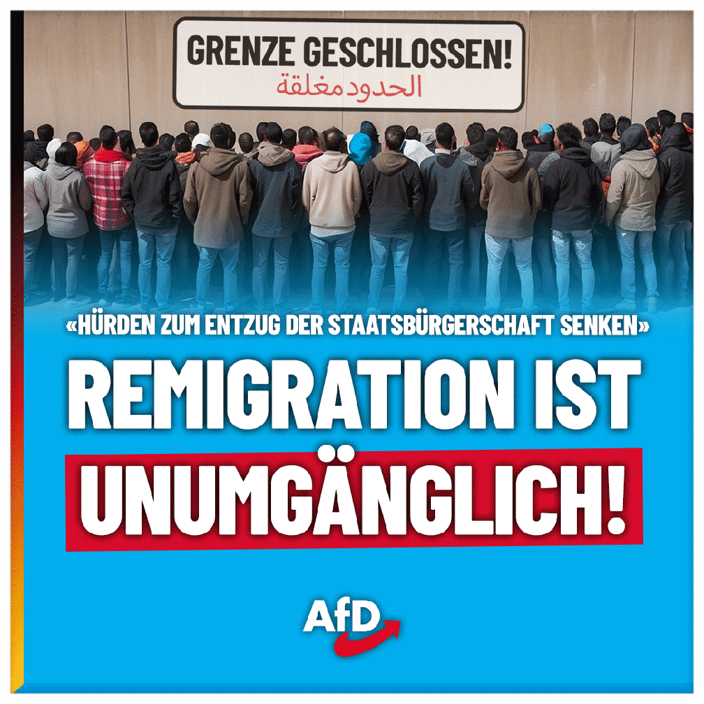 Bild: AfD Deutschland