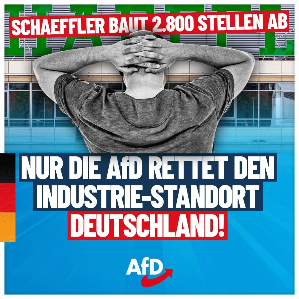 Bild: AfD Deutschland