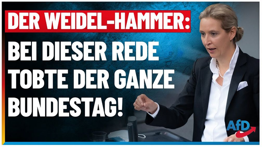 Bild: AfD Deutschland