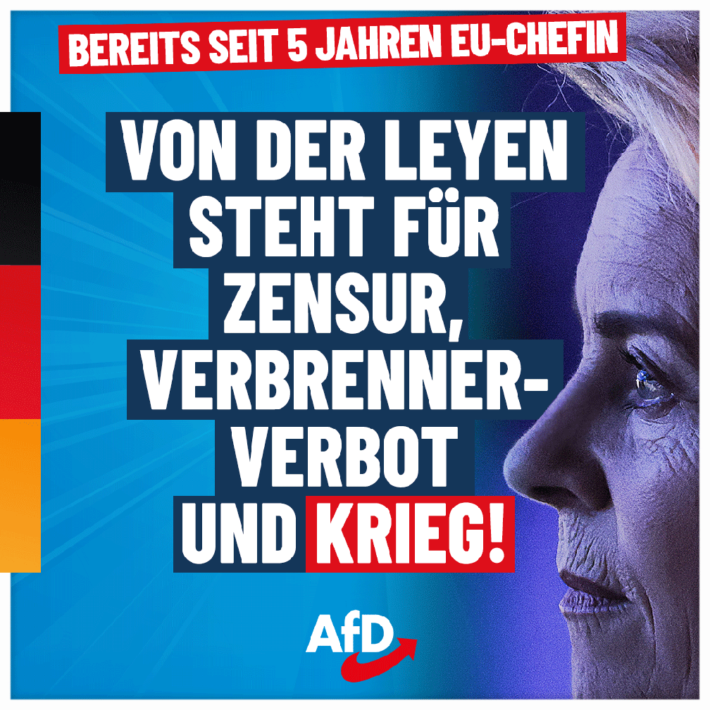 Bild: AfD Deutschland