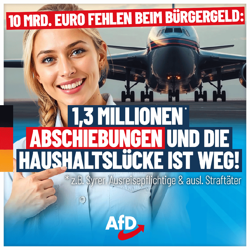 Bild: AfD Deutschland