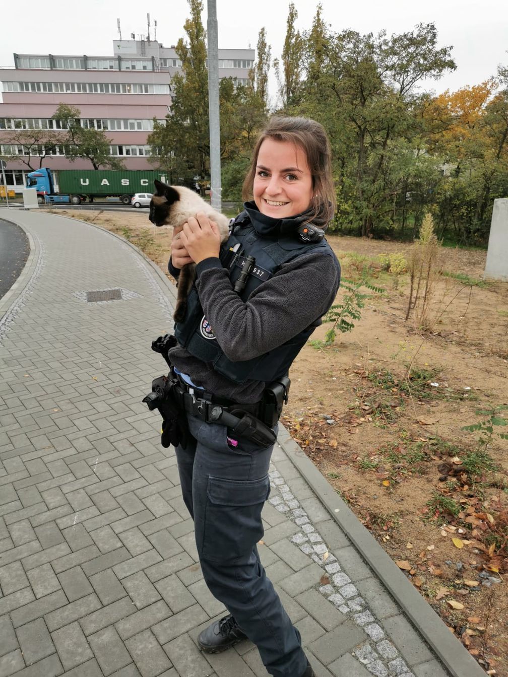 Polizeikommissarin Katalin Hajnadi mit dem geretteten Kätzchen. Bild: Polizei