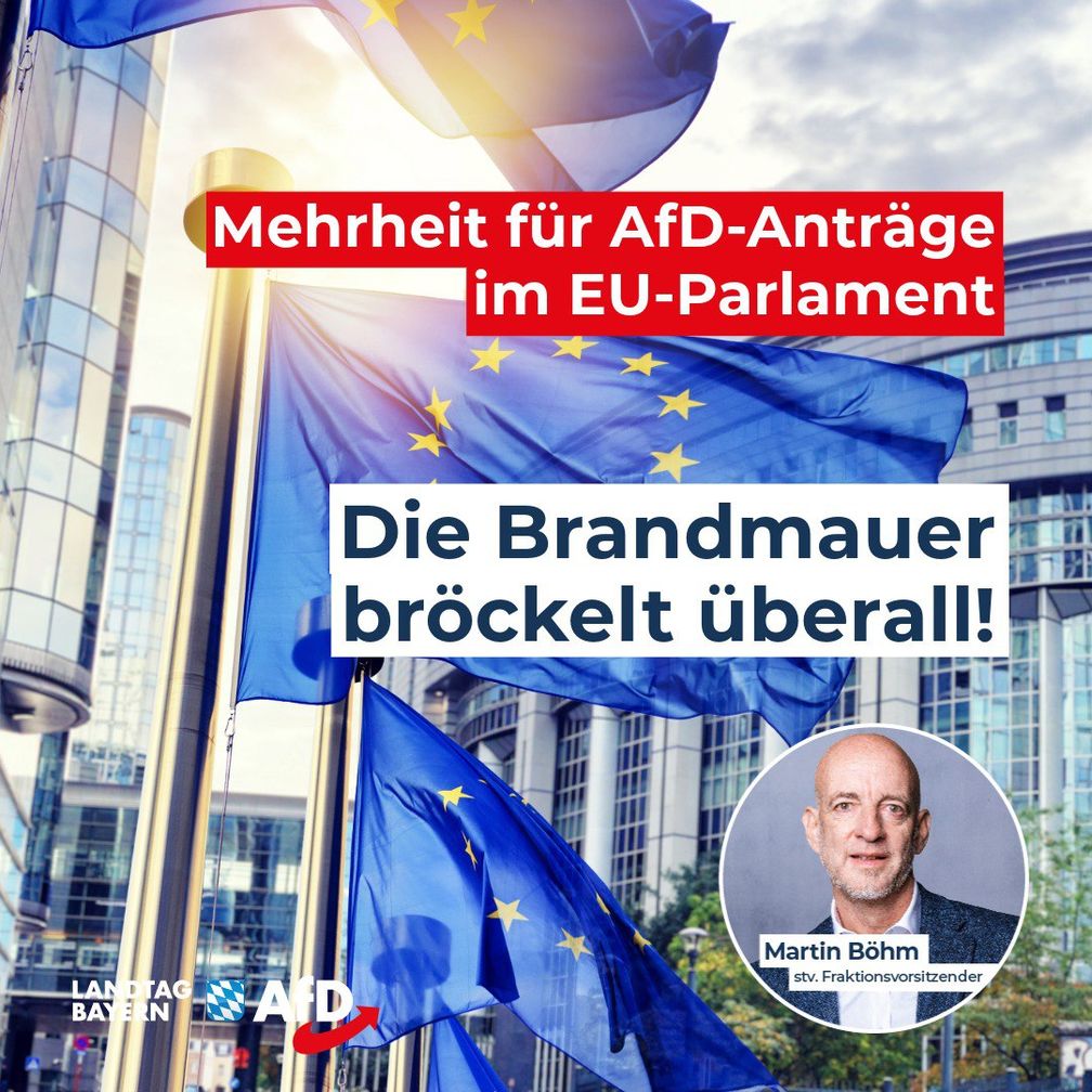 Bild: AfD Deutschland