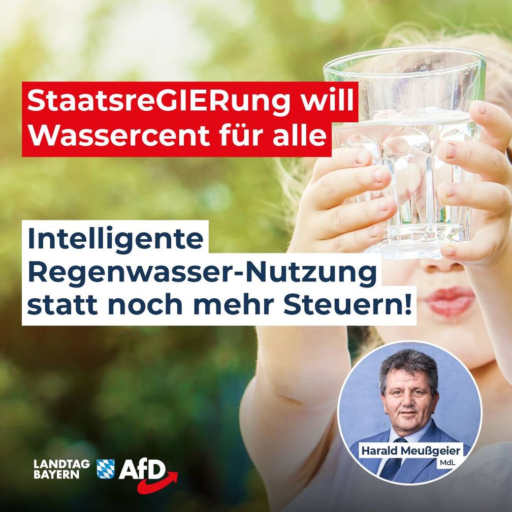 Bild: AfD Deutschland