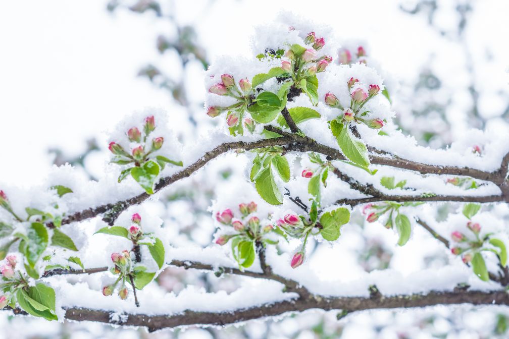 Aprilwetter Bild: WetterOnline Meteorologische Dienstleistungen GmbH Fotograf: WetterOnline