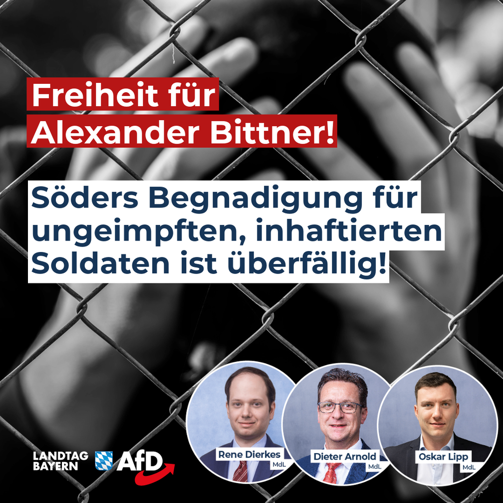 Bild: AfD Deutschland