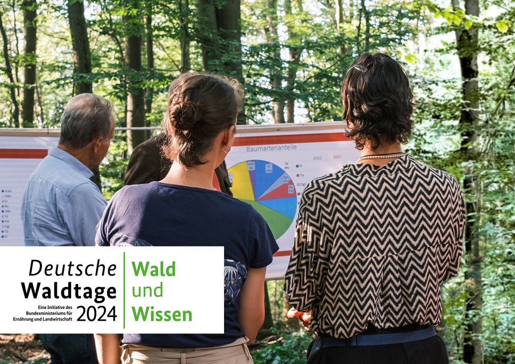 Bild: Deutsche Waldtage Fotograf: Juliane Dabels