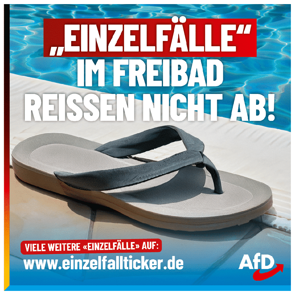 Bild: AfD Deutschland