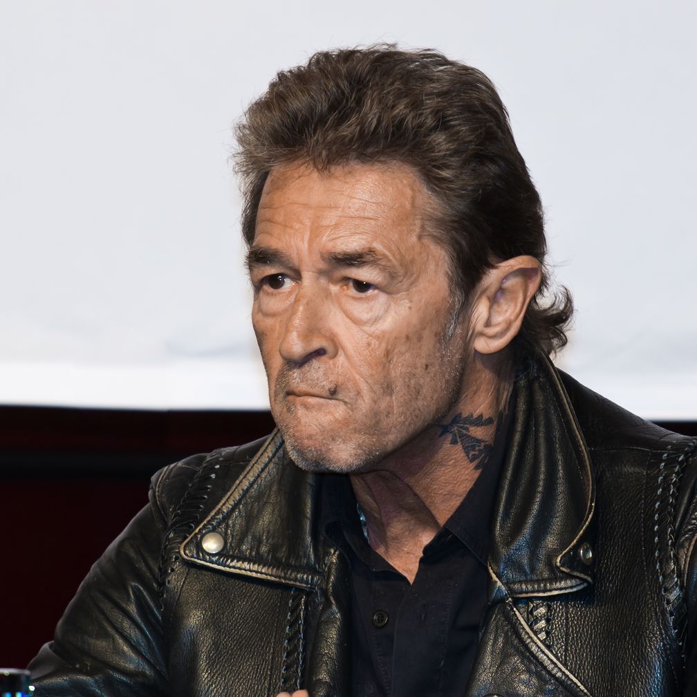 Peter Maffay (2014), Archivbild