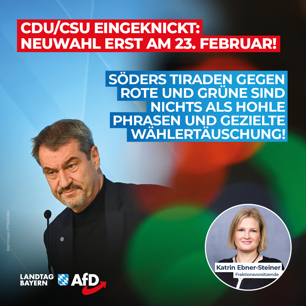 Bild: AfD Deutschland