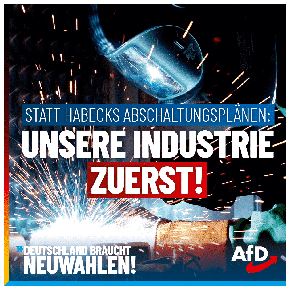 Bild: AfD Deutschland